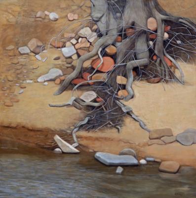 Rocks and Roots